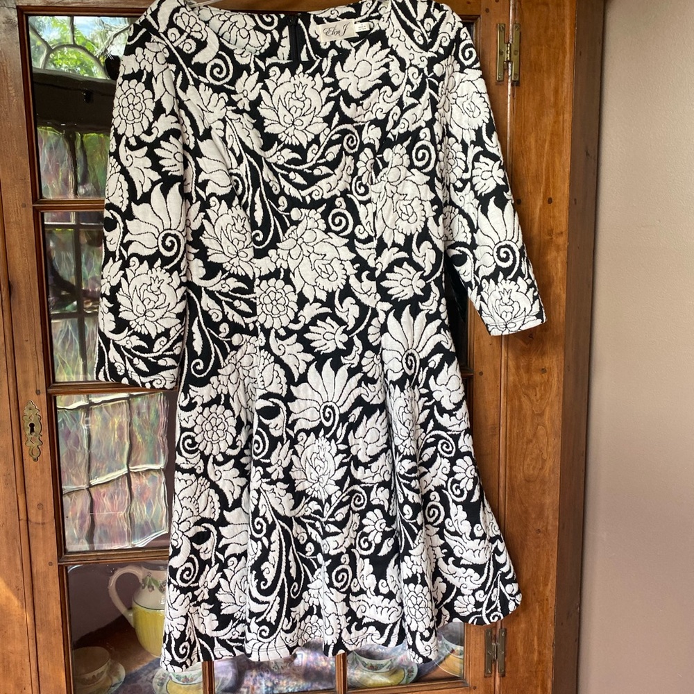Eliza J  Floral Skater Dress